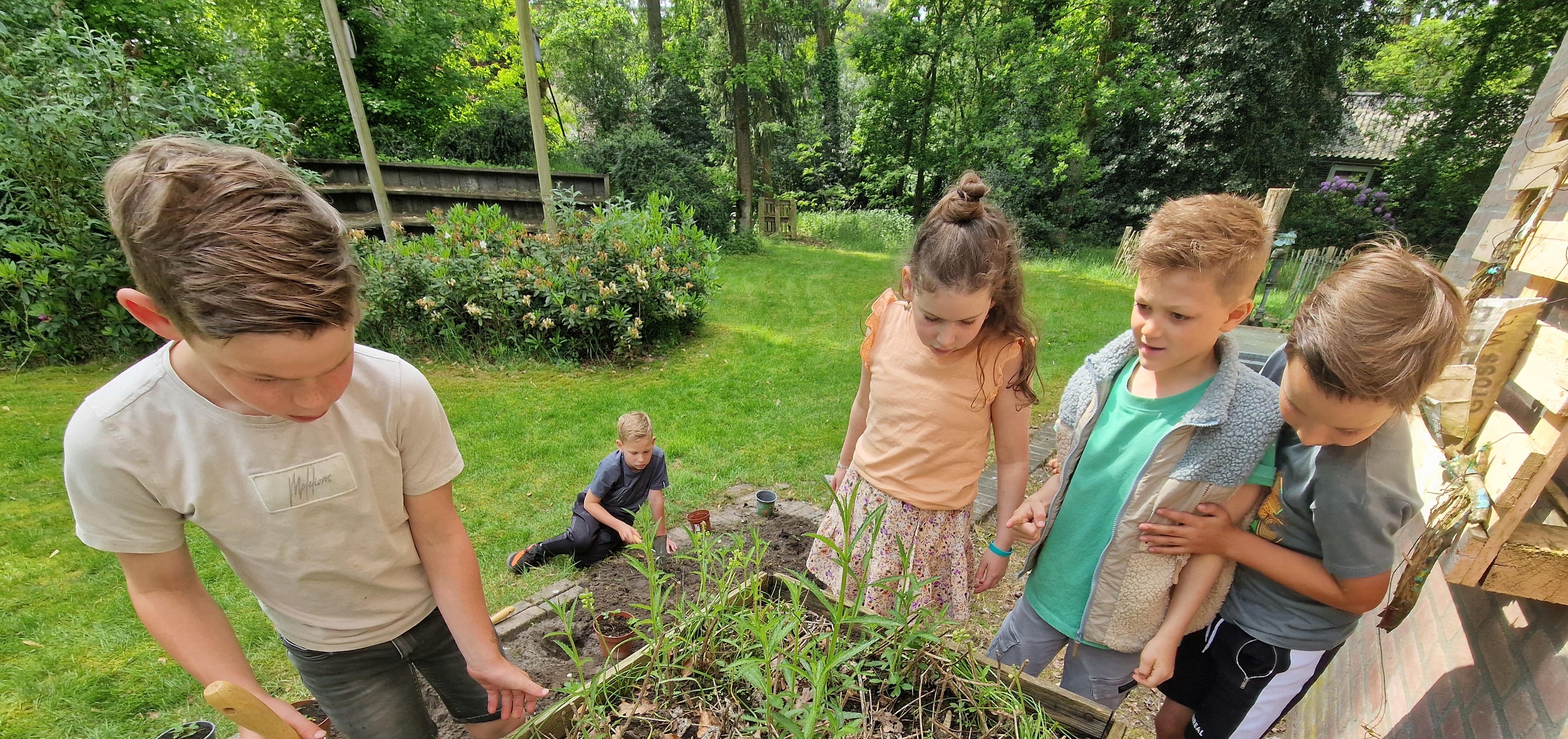 Buiten in de natuur